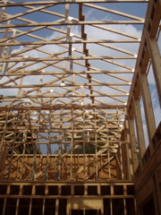 Roof trusses over living room
